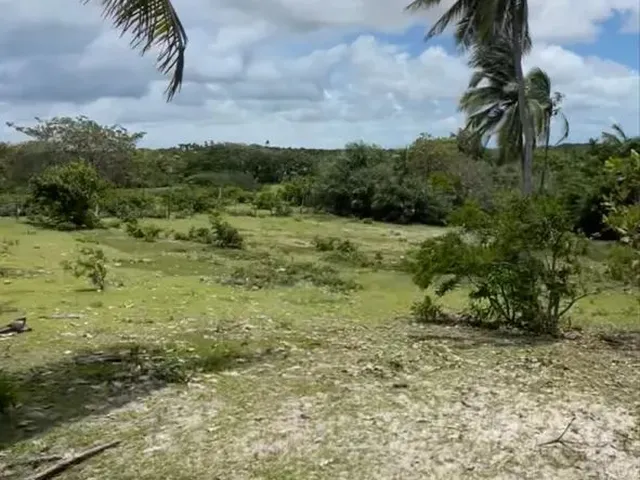 Imagem: A casa possui 3 Dormitórios, 2 Banheiros, 4 Vagas na