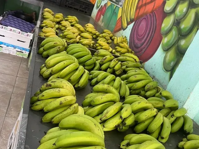 Imagem: Sacolão Bem Montado Oportunidade