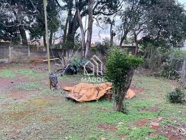 Imagem 8: Casa À Venda em Uvaranas, Ponta Grossa - Pr