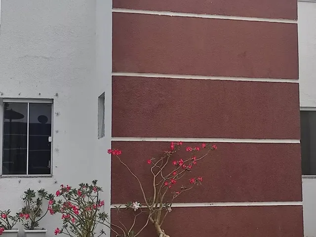 Imagem 10: Casa térrea em Condomínio, com energia solar, 03 quartos sendo 01 suíte, Reidencial