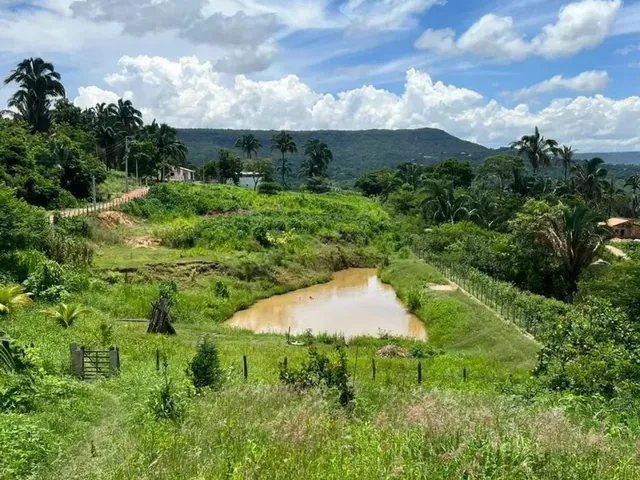 Imagem 12: Vendo Excelente Propriedade no Caldas - Barbalha - Ce