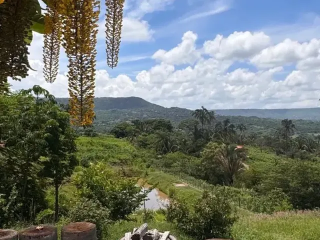 Imagem 14: Vendo Excelente Propriedade no Caldas - Barbalha - Ce