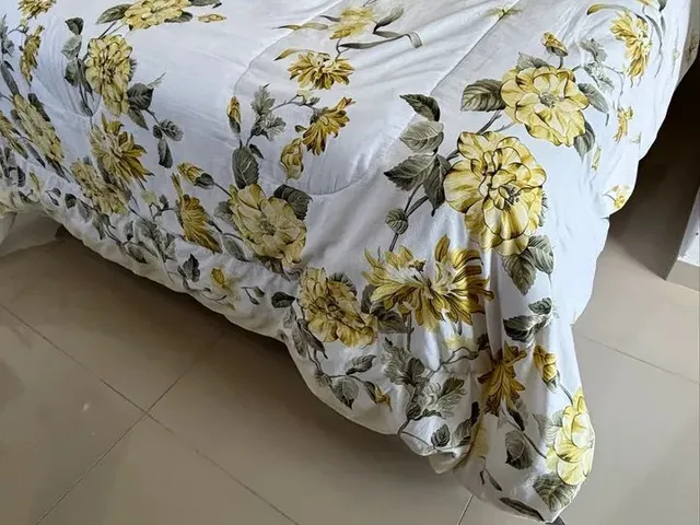 Imagem 5: Aluguel para o Carnaval