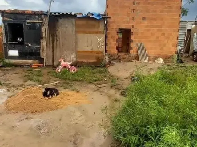 Imagem: Vendo Um Lote Falar com Mara, Somente