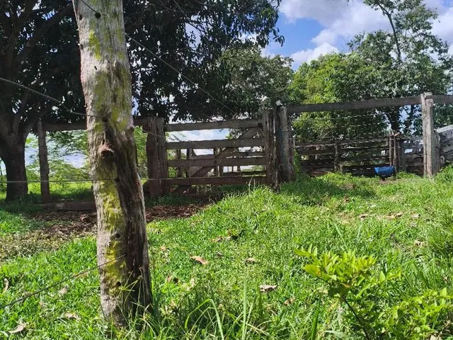 Imagem 13: Sítio em Jangada Localização Previlegiada