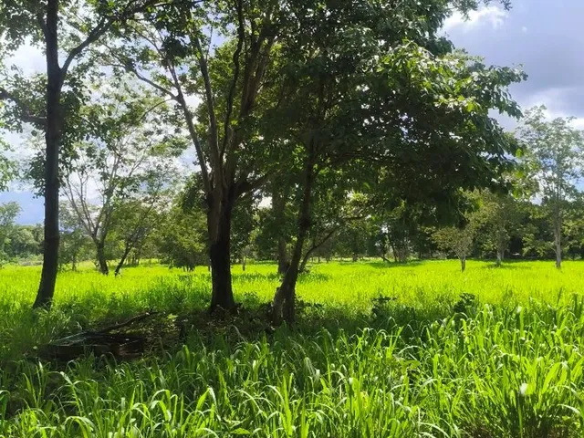 Imagem 8: Sítio em Jangada Localização Previlegiada