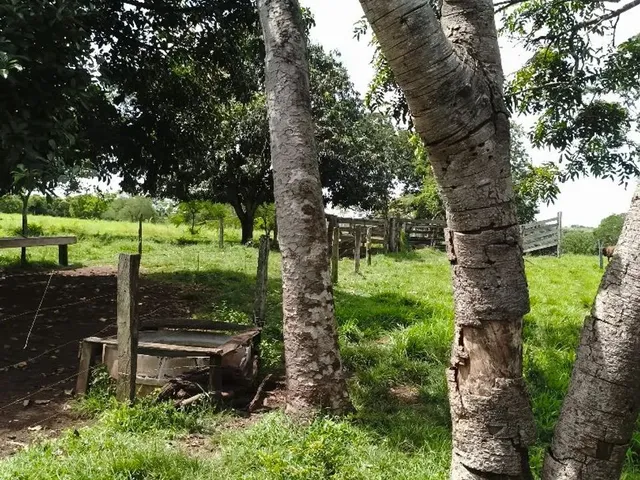 Imagem 9: Sítio em Jangada Localização Previlegiada