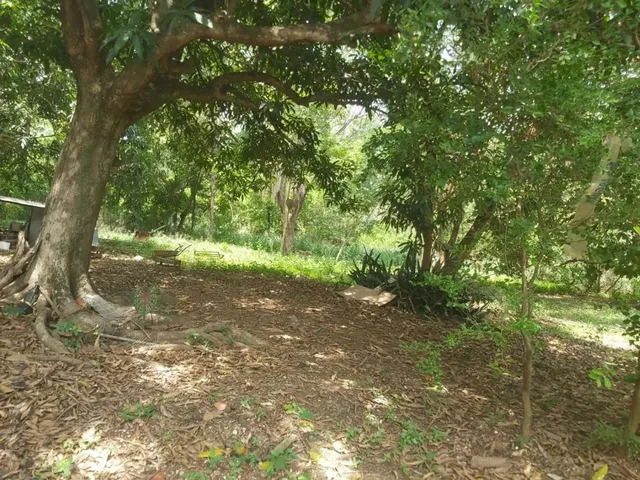 Imagem 2: Terreno À Venda - Centro-Norte, Cuiabá