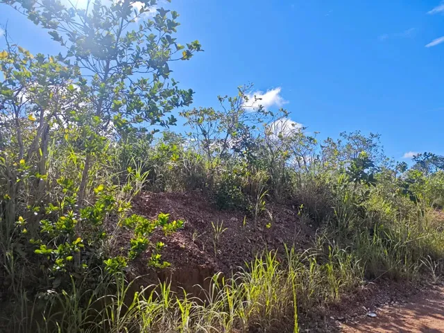 Imagem 9: Terreno no Condomínio Paraíso do Manso
