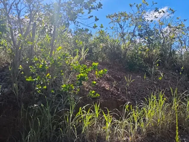 Imagem 10: Terreno no Condomínio Paraíso do Manso