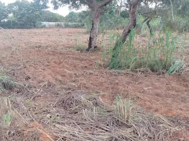 Imagem: Terreno