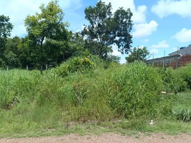 Imagem: Vende-Se Lote no Pedra 90