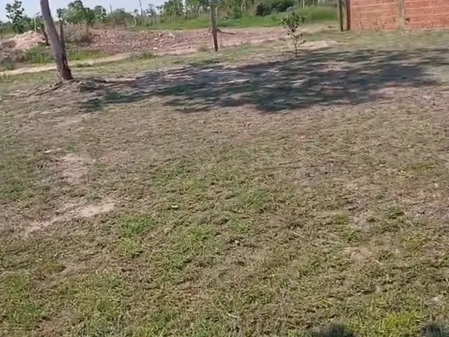 Imagem: Vendo Terreno na Guia Ao Lado do Restaurante