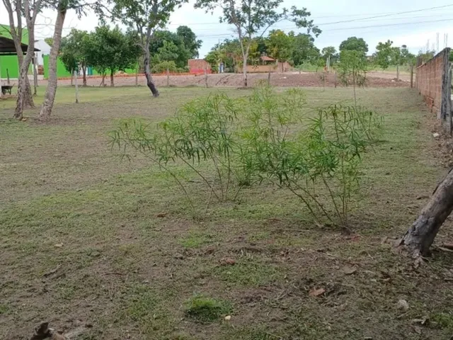 Imagem 3: Vendo Terreno na Guia Ao Lado do Restaurante Panela Velha