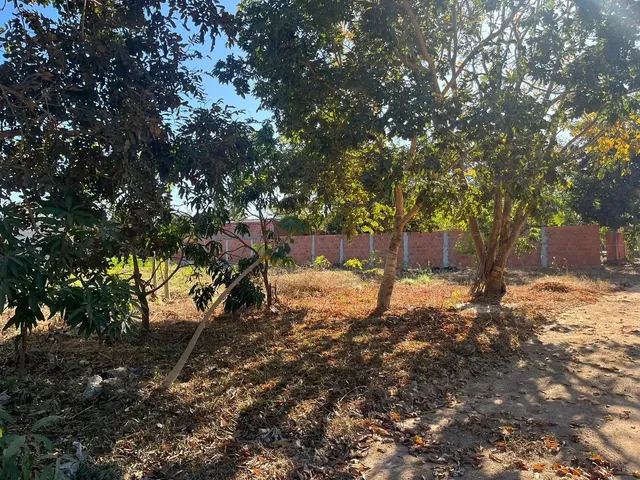 Imagem 11: Sitio Chácara com venda por R$70.000