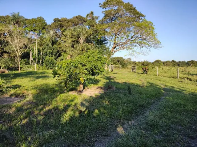 Imagem 3: Chácara Chácara com venda por R$280.000