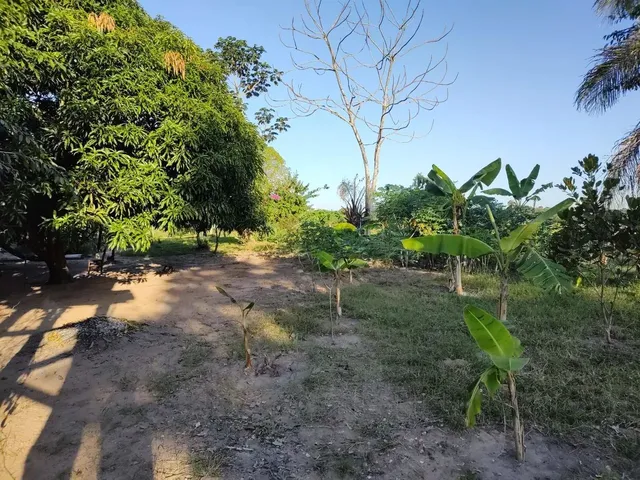 Imagem 6: Chácara Chácara com venda por R$280.000