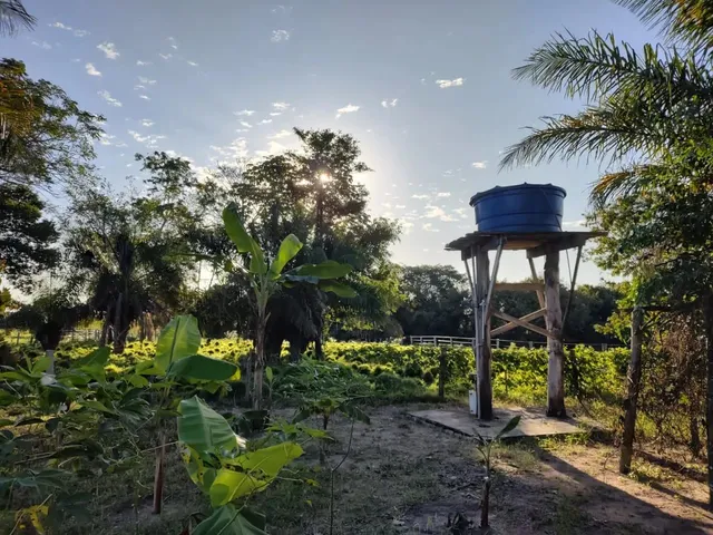 Imagem 11: Chácara Chácara com venda por R$280.000