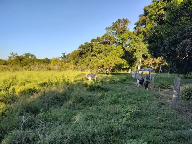 Imagem 12: Chácara Chácara com venda por R$280.000