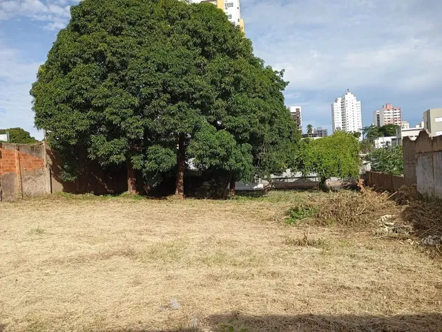 Imagem 3: Imóvel para Venda Possui 1500 Metros Quadrados em Centro-Norte - Cuiabá - Mt