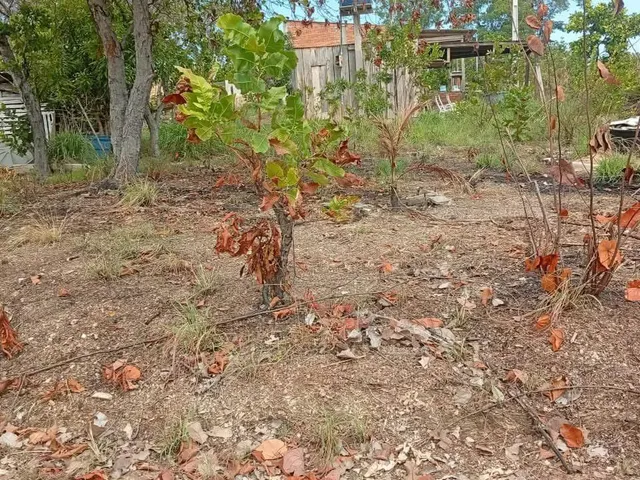Imagem: Terreno no Residencial Flor da Mata Documentado