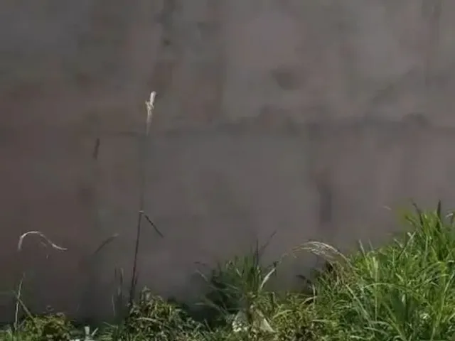 Imagem 8: Vendo Um Terreno no Bairro Jardim Florianópolis