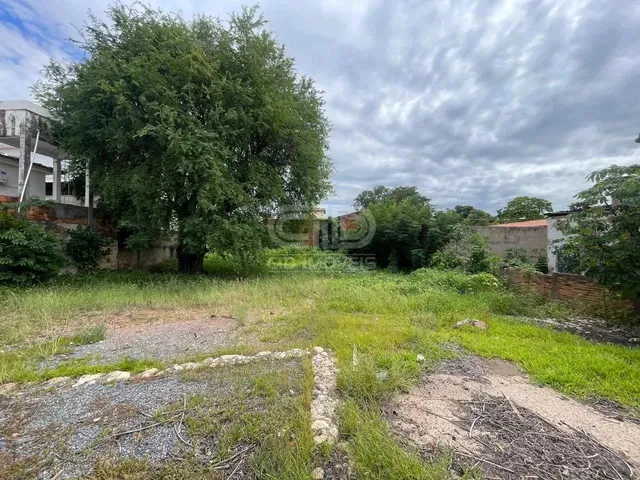 Imagem 5: Terreno com 715M² no Centro Norte