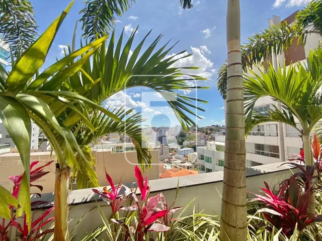 Imagem 16: Apartamento com 3 Dormitórios À Venda, 167 M² por R$ 980.000,00 - Campo Alegre