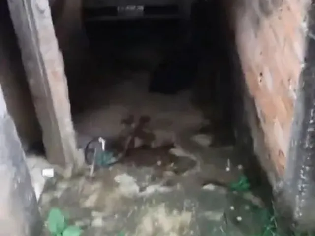 Imagem 3: Vendo Ou Troco Casa