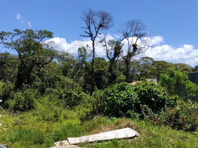 Imagem: Terreno, 360M²M², À Venda em Itapoá