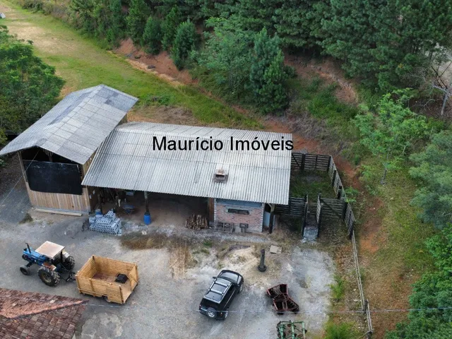 Imagem 5: Lindo sítio com 8,63 hectares, duas casas, Ribeirão dos Lobos, Taió-SC, distante em 5