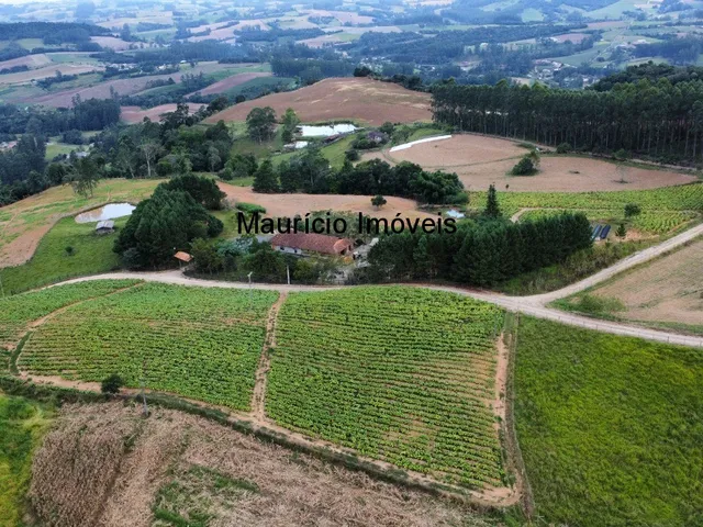 Imagem 2: Lindo sítio com 8,63 hectares, duas casas, Ribeirão dos Lobos, Taió-SC, distante em 5