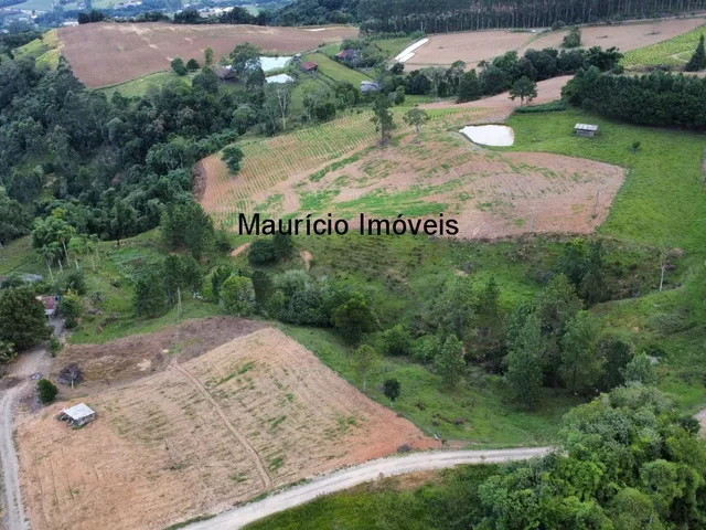 Imagem 6: Lindo sítio com 8,63 hectares, duas casas, Ribeirão dos Lobos, Taió-SC, distante em 5