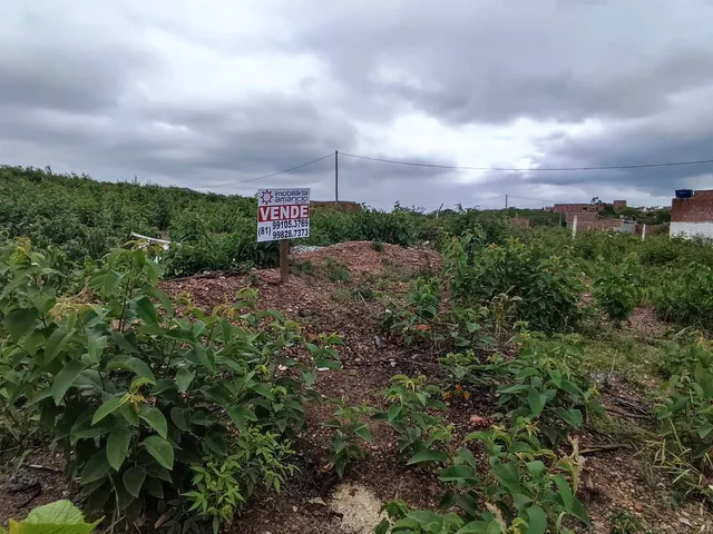 Imagem: O terreno está localizado em Rendeiras, Caruaru à venda
