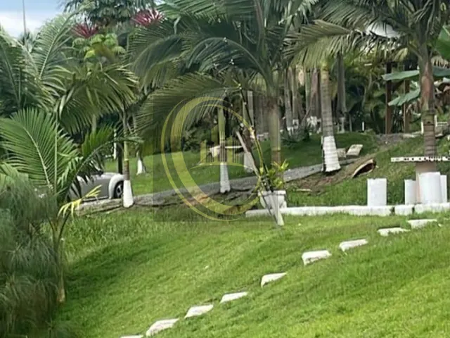 Imagem 15: Ch0001 -Bal. Piçarras Sc - Chácara