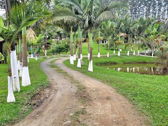 Imagem 7: Ch0001 -Bal. Piçarras Sc - Chácara