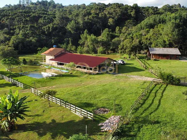 Imagem: Linda Chácara à venda em Campo Largo/PR
