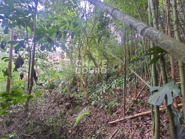 Imagem 10: Terreno de 450m em localização central em bairro residencial