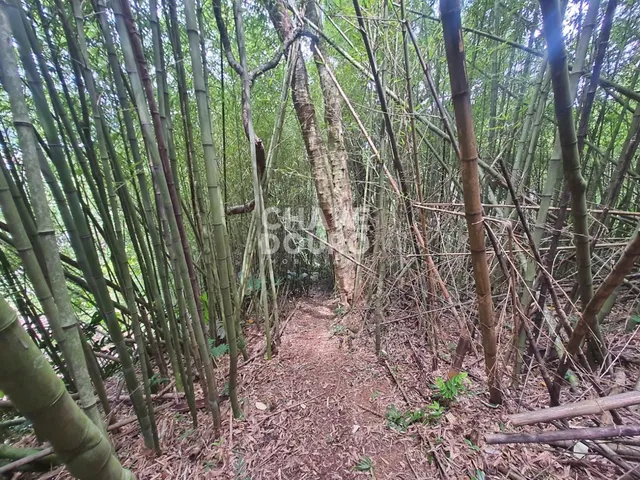 Imagem 7: Terreno de 450m em localização central em bairro residencial