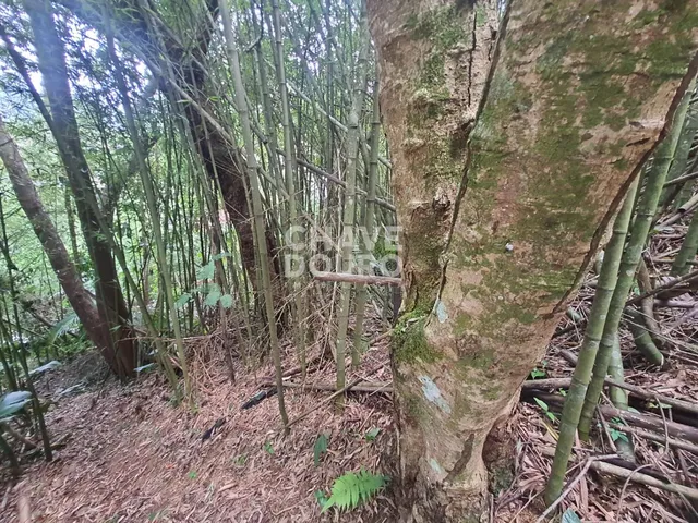 Imagem 8: Terreno de 450m em localização central em bairro residencial