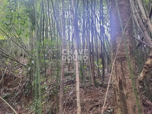 Imagem 5: Terreno de 450m em localização central em bairro residencial