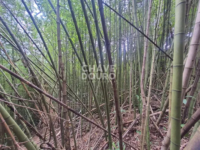 Imagem 6: Terreno de 450m em localização central em bairro residencial