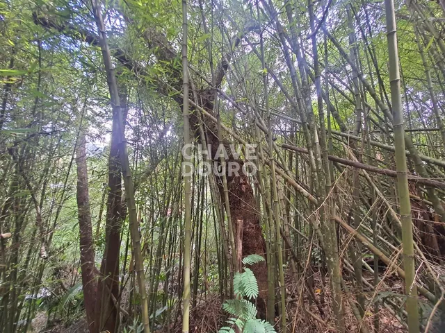 Imagem 9: Terreno de 450m em localização central em bairro residencial