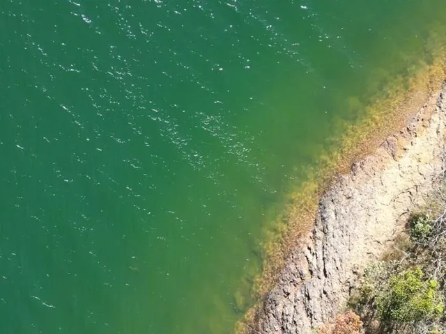 Imagem 5: Tudo Imóveis, Lançamento Alto Padrão - Terreno de 1.000m² em condomínio de luxo em