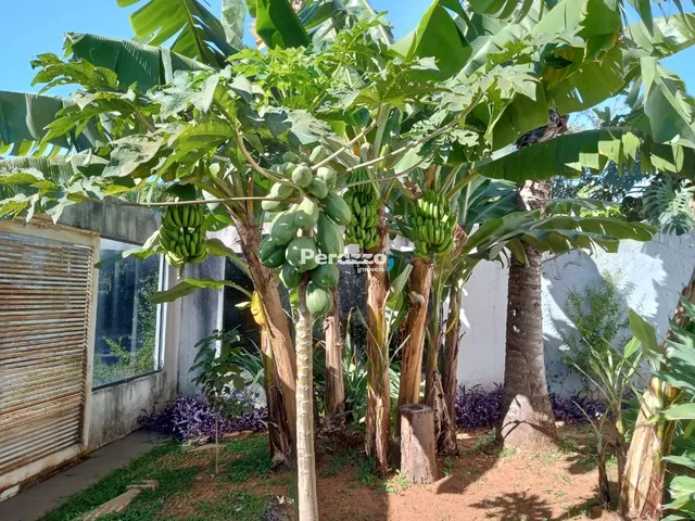Imagem 8: Refinamento e Exclusividade em Residência Térrea no Lago Norte com 4 Quartos por R