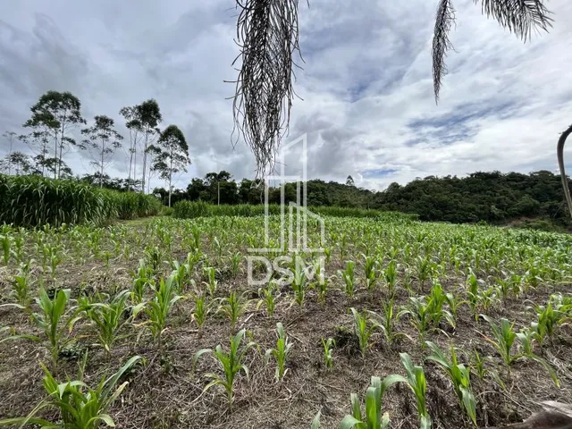 Imagem: Terreno 2.700M² a Venda Bairro Cedro Alto