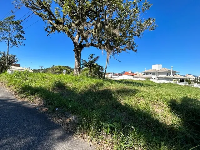 Imagem: Terreno À Venda no Bairro Pedra Branca