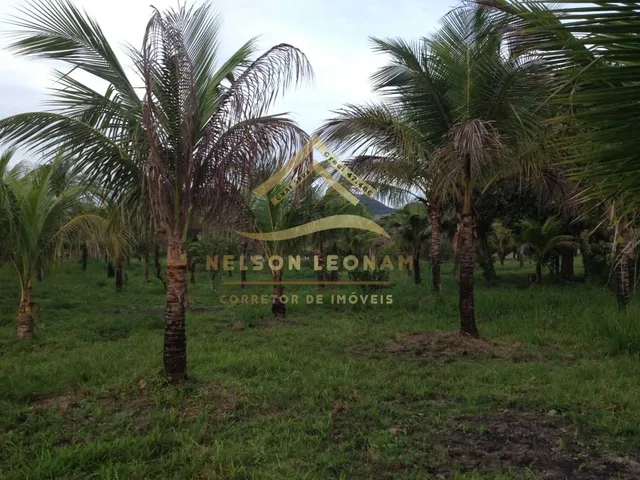 Imagem 5: SÍTIO DOS SONHOS EM ITABORAÍ - PRÓXIMO A MARICÁ - GRANJAS MIRASSOL (PACHECOS