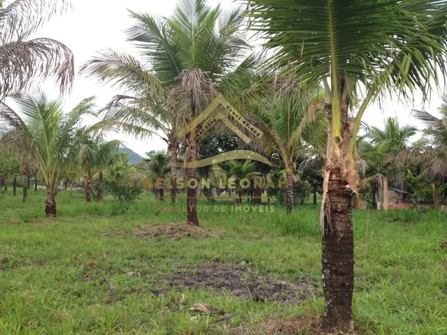Imagem 6: SÍTIO DOS SONHOS EM ITABORAÍ - PRÓXIMO A MARICÁ - GRANJAS MIRASSOL (PACHECOS