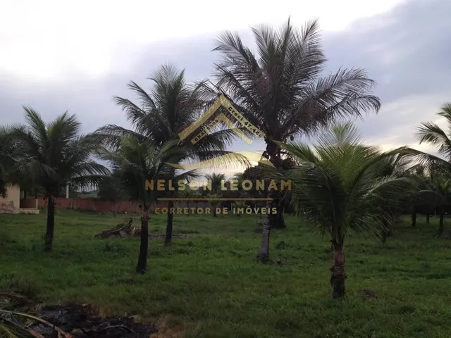 Imagem 7: SÍTIO DOS SONHOS EM ITABORAÍ - PRÓXIMO A MARICÁ - GRANJAS MIRASSOL (PACHECOS
